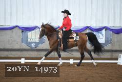 20YN_14973 thumbnail