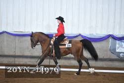 20YN_14976 thumbnail