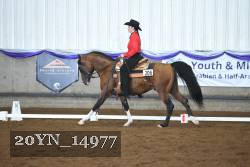 20YN_14977 thumbnail