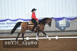 20YN_14980 thumbnail