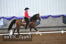 20YN_14981 thumbnail