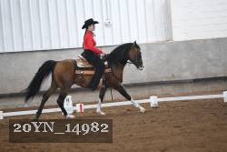 20YN_14982 thumbnail