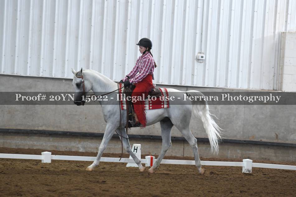 Proof Number 20YN_15022