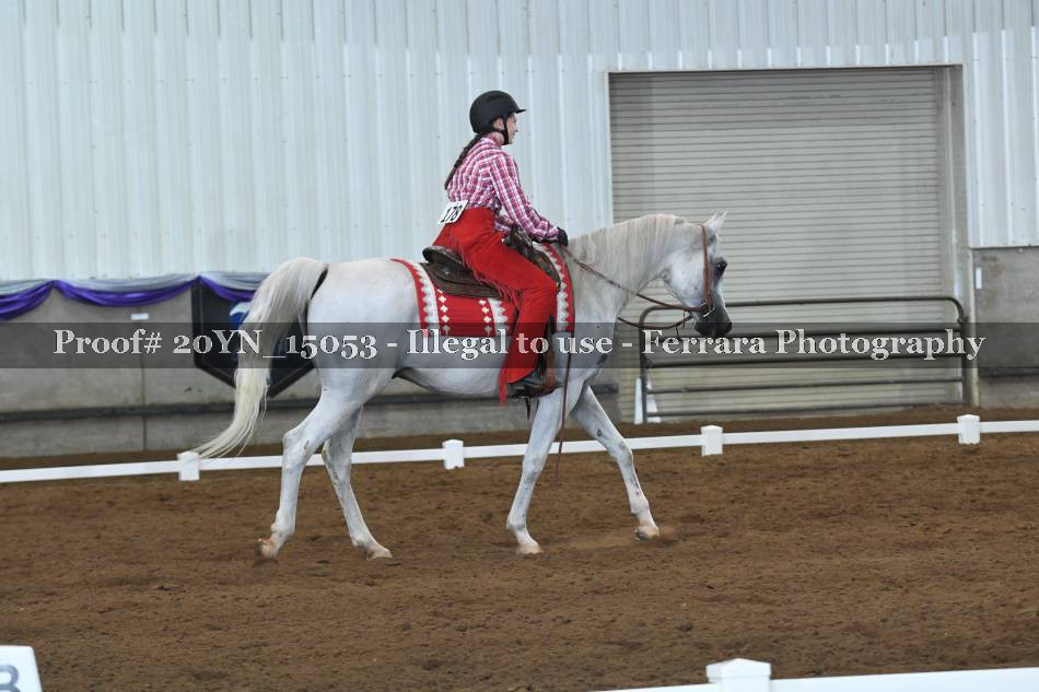 Proof Number 20YN_15053