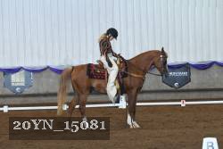 20YN_15081 thumbnail