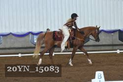 20YN_15083 thumbnail