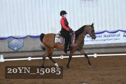 20YN_15085 thumbnail