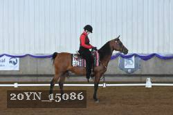 20YN_15086 thumbnail