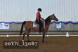 20YN_15087 thumbnail