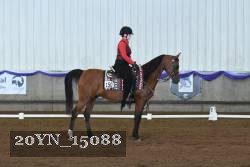 20YN_15088 thumbnail