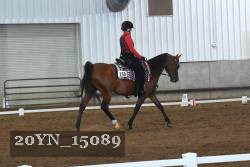 20YN_15089 thumbnail
