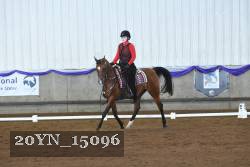 20YN_15096 thumbnail