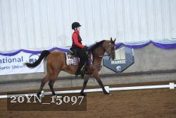 20YN_15097 thumbnail