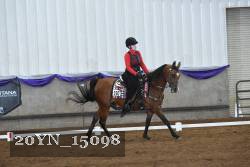20YN_15098 thumbnail