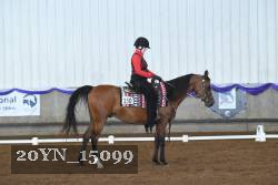 20YN_15099 thumbnail