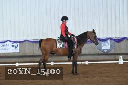 20YN_15100 thumbnail