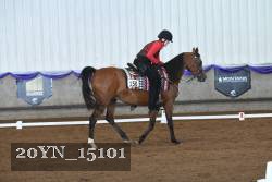 20YN_15101 thumbnail
