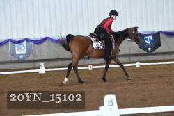 20YN_15102 thumbnail