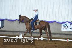 20YN_15179 thumbnail