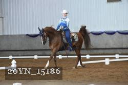 20YN_15186 thumbnail