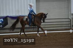 20YN_15192 thumbnail