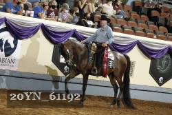 20YN_61192 thumbnail