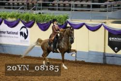 20YN_08185 thumbnail