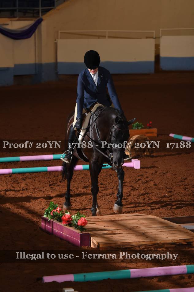 Proof Number 20YN_17188
