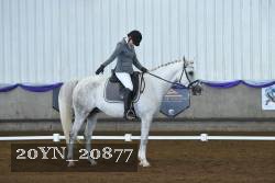 20YN_20877 thumbnail