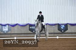 20YN_20937 thumbnail