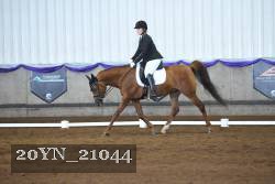 20YN_21044 thumbnail