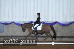 20YN_21052 thumbnail