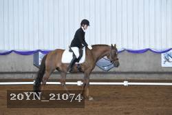 20YN_21074 thumbnail