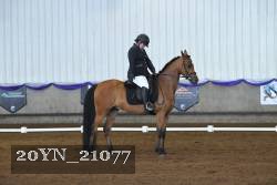 20YN_21077 thumbnail