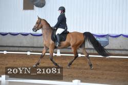20YN_21081 thumbnail