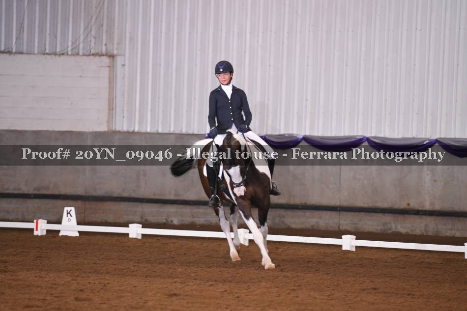 Proof Number 20YN_09046