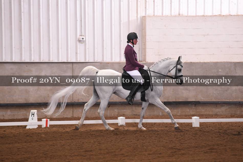 Proof Number 20YN_09087