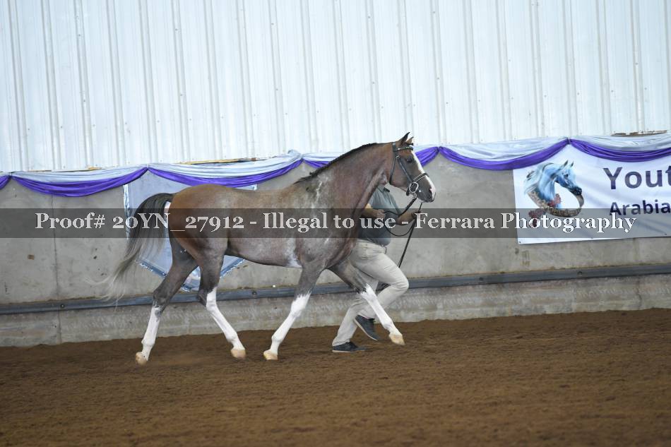 Proof Number 20YN_27912