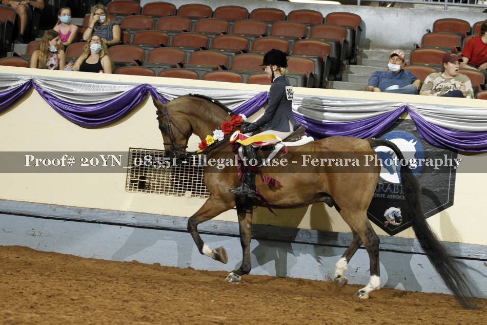 Proof Number 20YN_08551