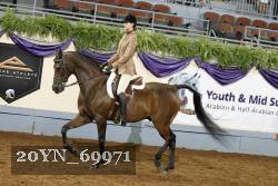 20YN_69971 thumbnail