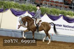 20YN_69972 thumbnail