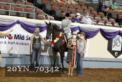 20YN_70342 thumbnail