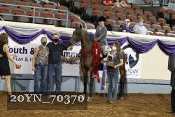 20YN_70370 thumbnail