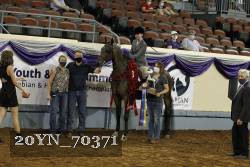 20YN_70371 thumbnail