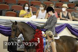 20YN_70379 thumbnail