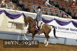 20YN_70386 thumbnail