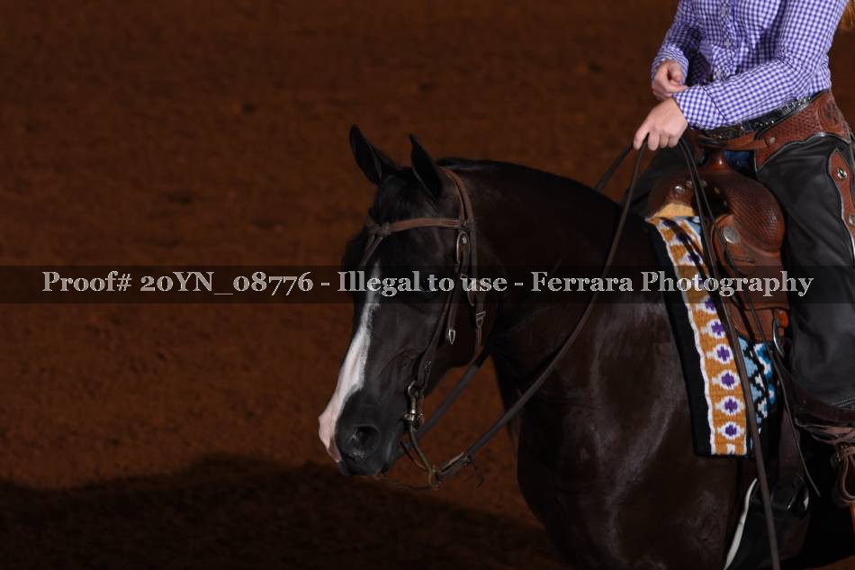 Proof Number 20YN_08776
