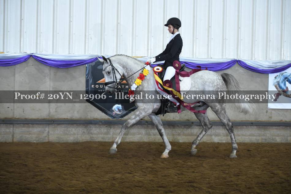 Proof Number 20YN_12906