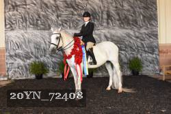 20YN_72408 thumbnail
