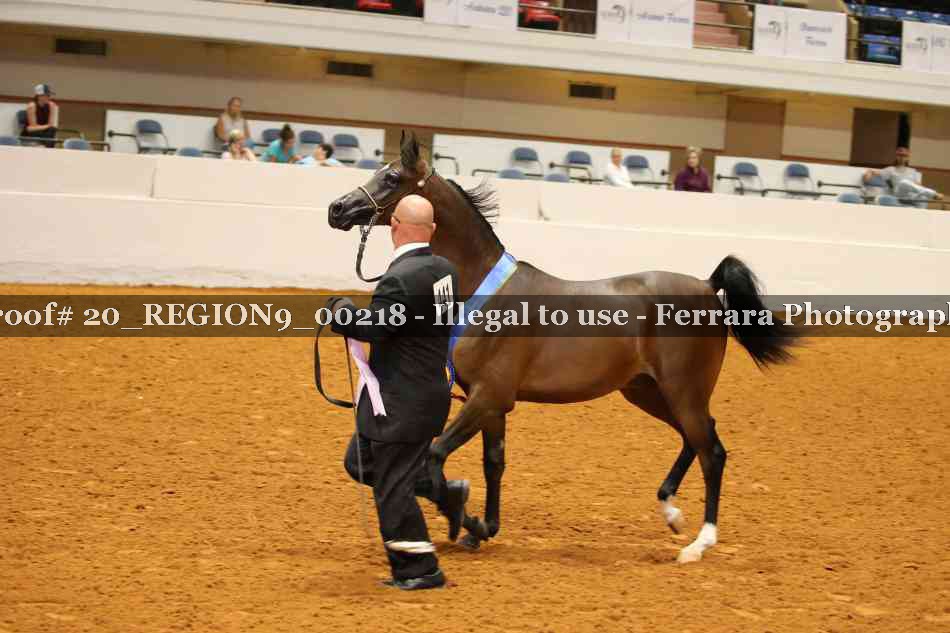 Proof Number 20_REGION9_00218